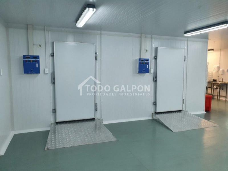 Venta de Galpón Industrial - Semiindustrial ( Mixta ) - El Trebol - Padre Hurtado.